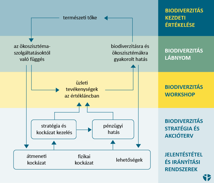 biodiverzitás